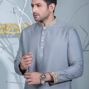 Ash Embroidery Panjabi / Code 206