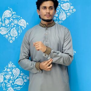 Ash Embroidery Panjabi / Code 466